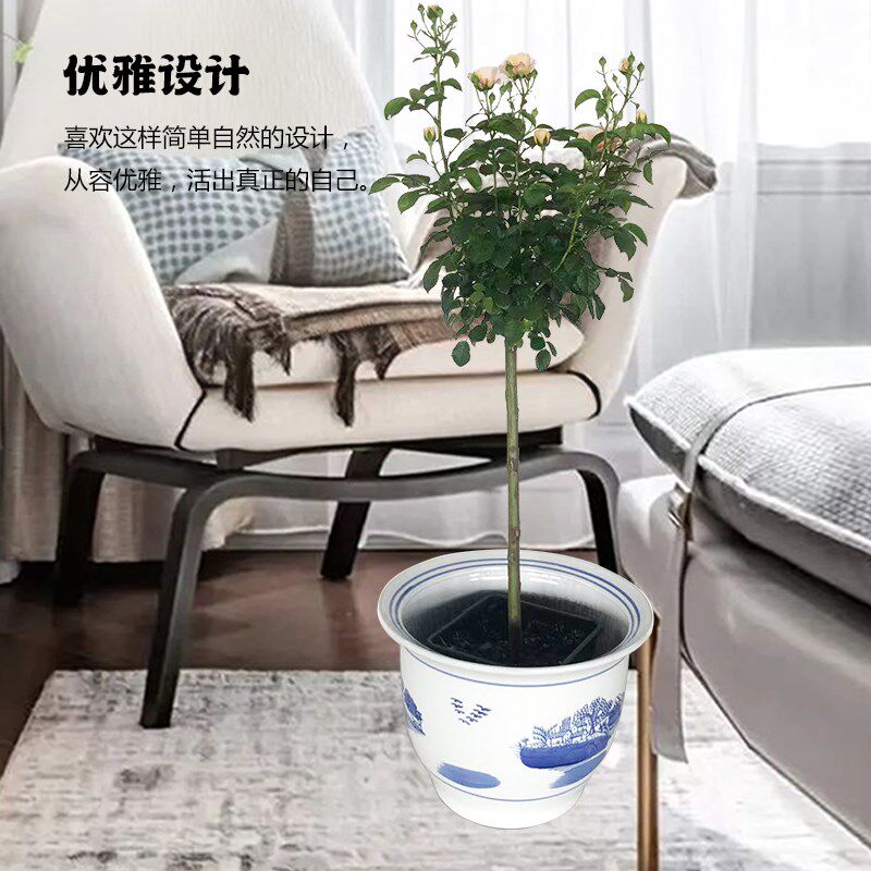特大号青花瓷发财树幸福树龙须木散尾葵绿萝栽树植物通用陶瓷花盆