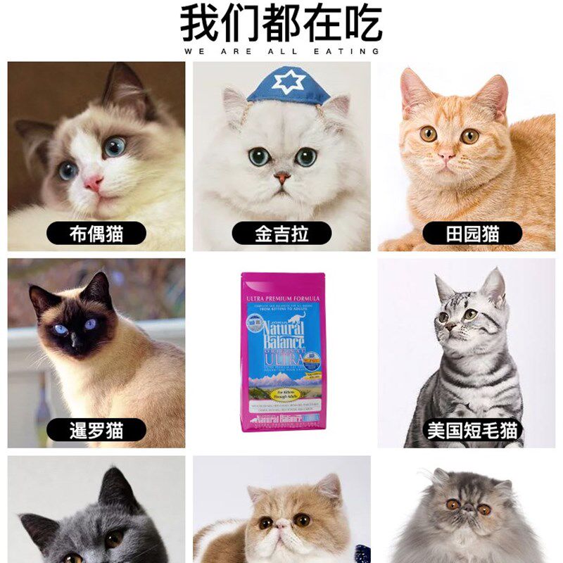 雪山全猫粮美毛亮毛天然粮成幼猫15磅折耳田园蓝猫助消化增肥低脂