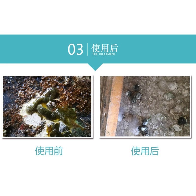 心连心鸽子保健活菌鸽用鹦鹉鸟专用活菌益生菌调理肠道优益活菌液