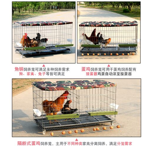 家用双层鸡笼自动清粪自动下蛋鸡笼家庭养鸡笼兔笼狗笼鸡笼子折叠