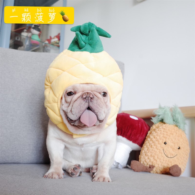 宠物帽子 狗狗恶搞头套 菠萝帽子 狗狗帽子 法斗帽子  柯基 拍照图片