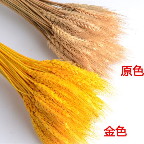 天然金黄麦穗小麦花杆金色大麦客厅田园装饰花束摆件干花开业送礼