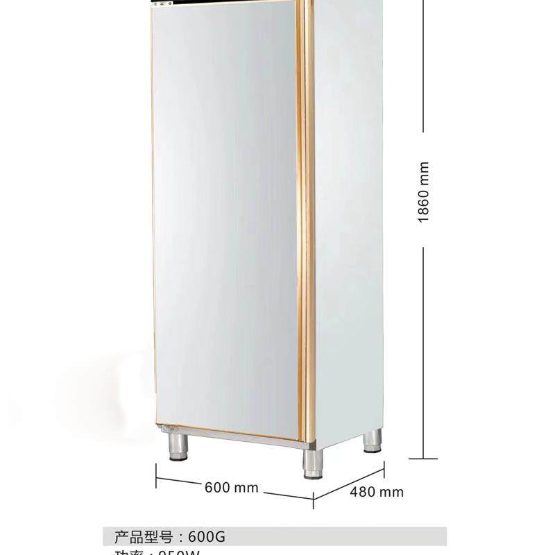 订做高温消毒碗柜商用柜热风循环双门消毒柜碗柜餐厅大柜餐具餐柜