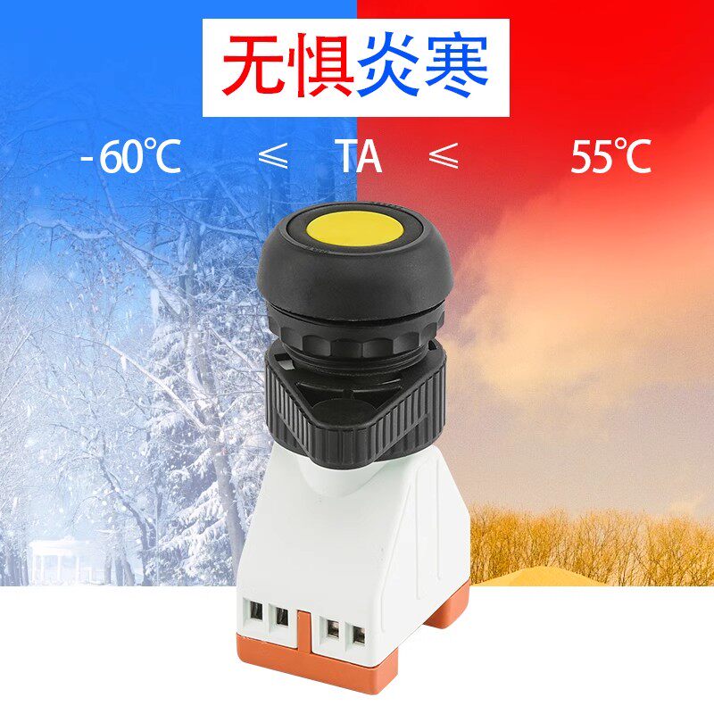 防爆按钮自复位自锁带指示灯旋钮两档三挡推拉蘑菇急停开关电位器