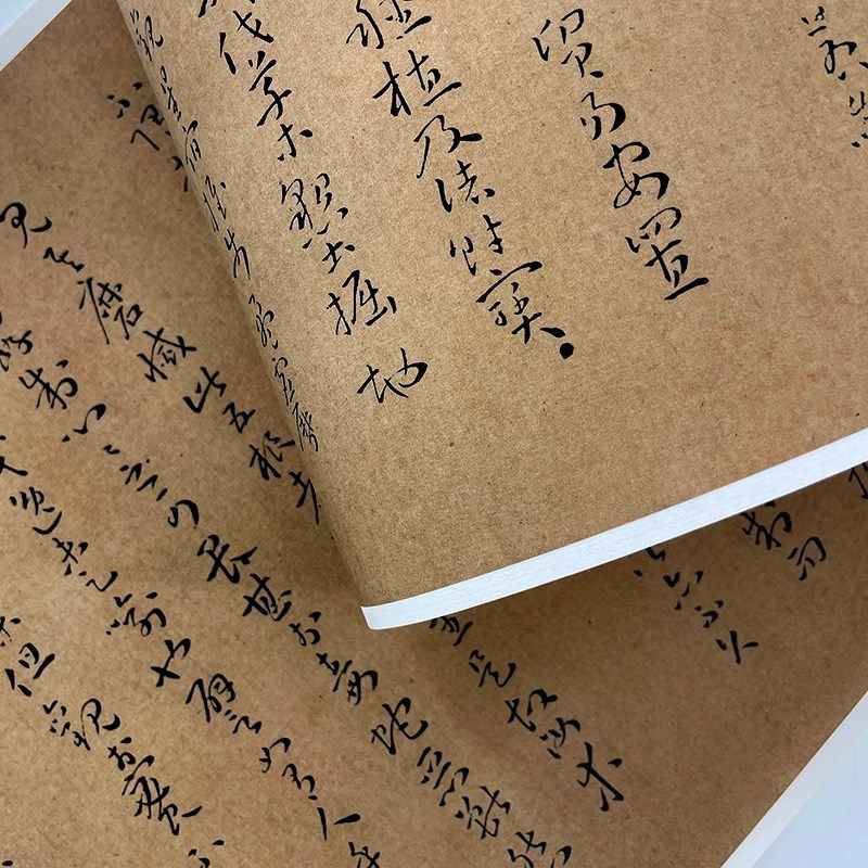 孙过庭草书佛遗教经(二玄社本)高清原大复制品毛笔书法艺术微喷