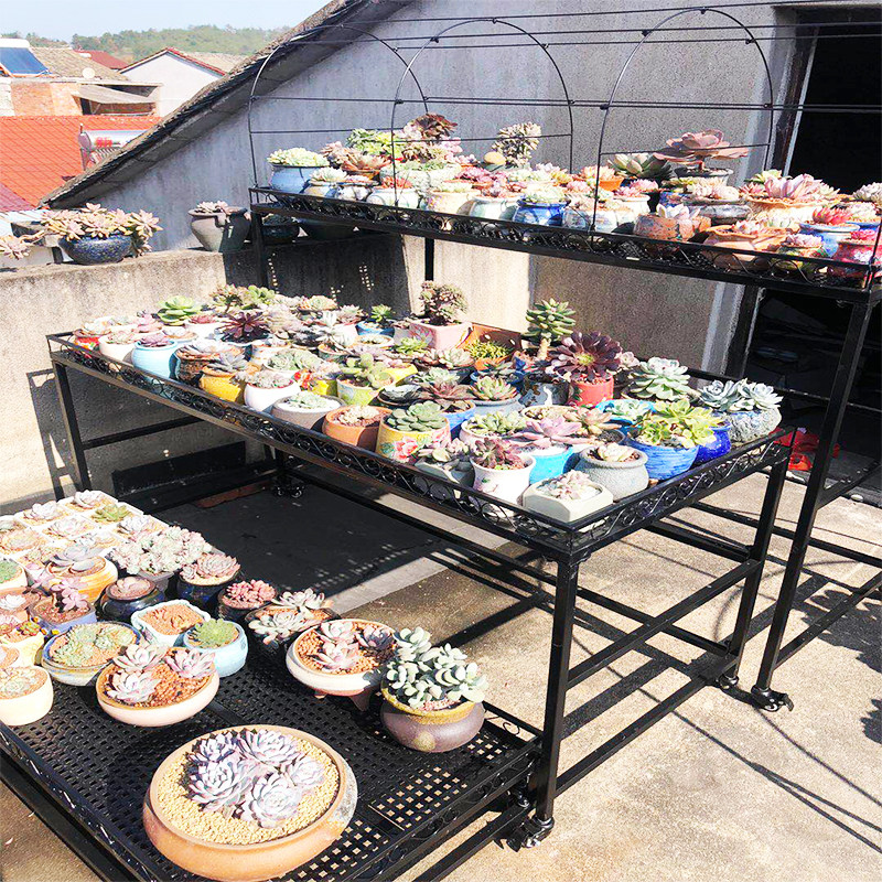 阳台花架室内庭院落地伸缩多层移动带轮多肉花架防雨遮阳防冻架子