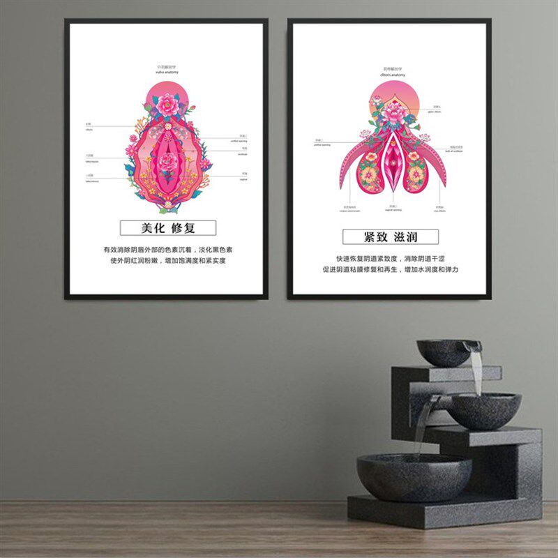 私密解剖艺术挂画 妇科医院母婴馆墙装饰画产後修复生殖保养壁画
