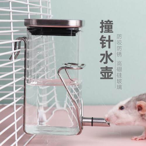 撞针式鹦鹉饮水器玻璃大容量不锈钢鸟用自动喂水鸟笼水壶喝水小鸟