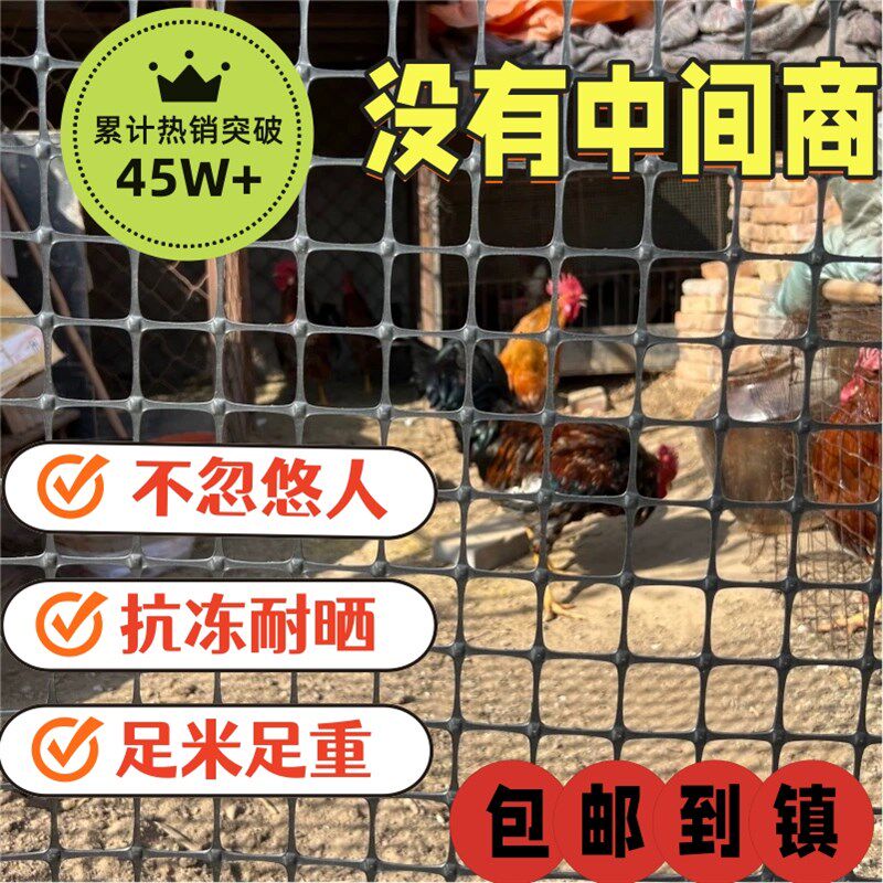 小孔塑料围栏网大棚防鸟育雏防护网养殖鸡鸭鹅漏粪网鱼虾隔离胶网