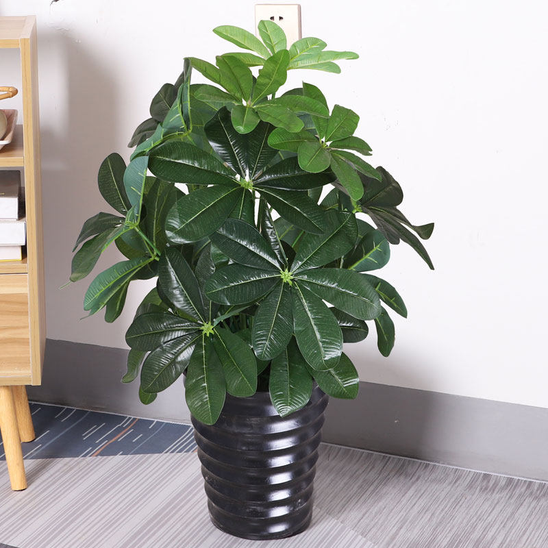 发财树仿真绿植小盆景客厅室内落地装饰仿真植物假树塑料假花红掌