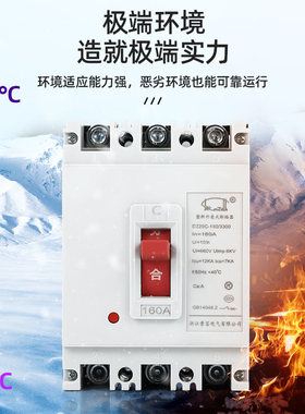 空气开关DZ20Y-100A/3300 160 225 400A 630 DZ20C-250塑壳断路器