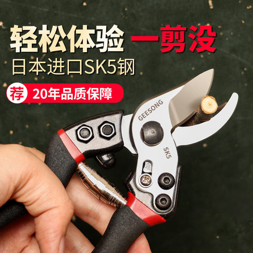 剪刀修枝剪弹簧强力园艺剪刀家用SK5修剪树枝剪盆栽水果树花卉剪
