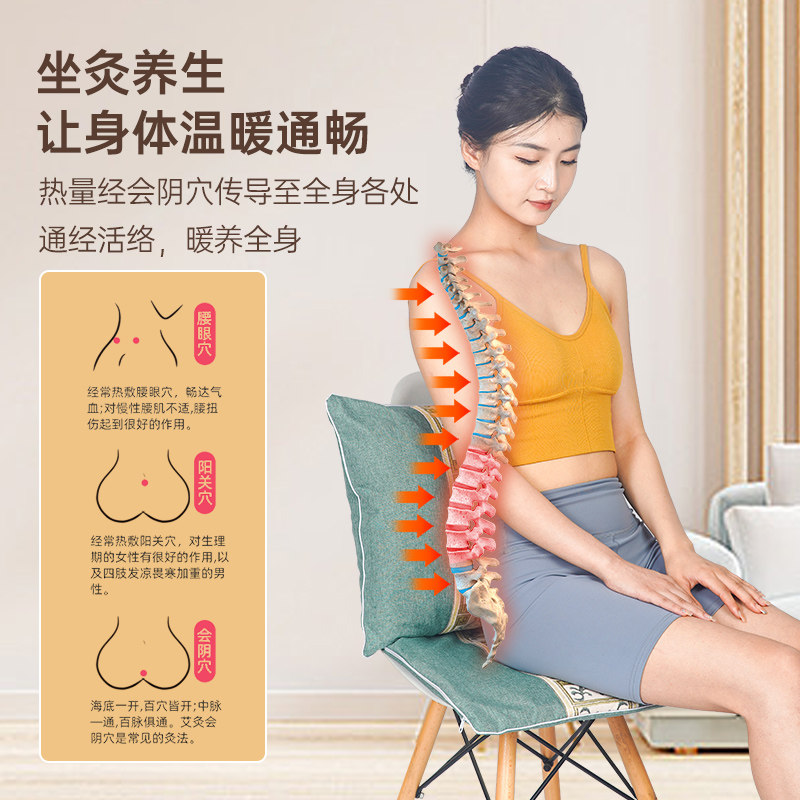 电加热坐垫办公室座椅靠背一体小型发热坐毯家用艾绒草电褥子屁垫