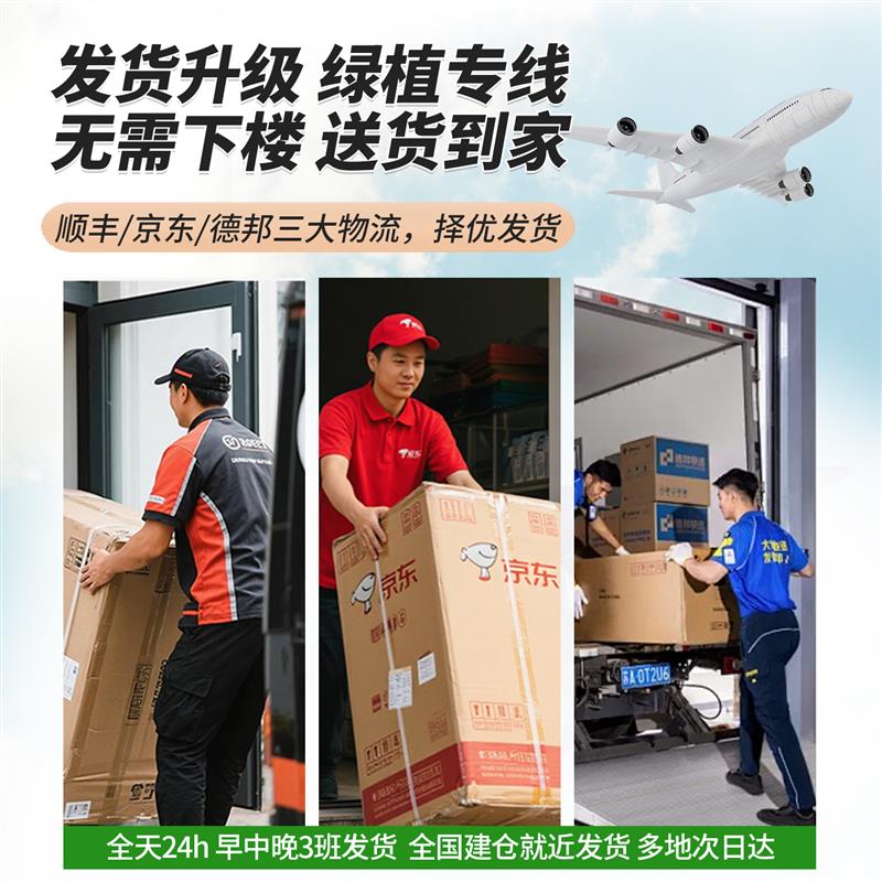 丛生鸭脚木客厅大盆栽鸭掌木鹅掌柴室内乔迁绿植植物大型四季好养