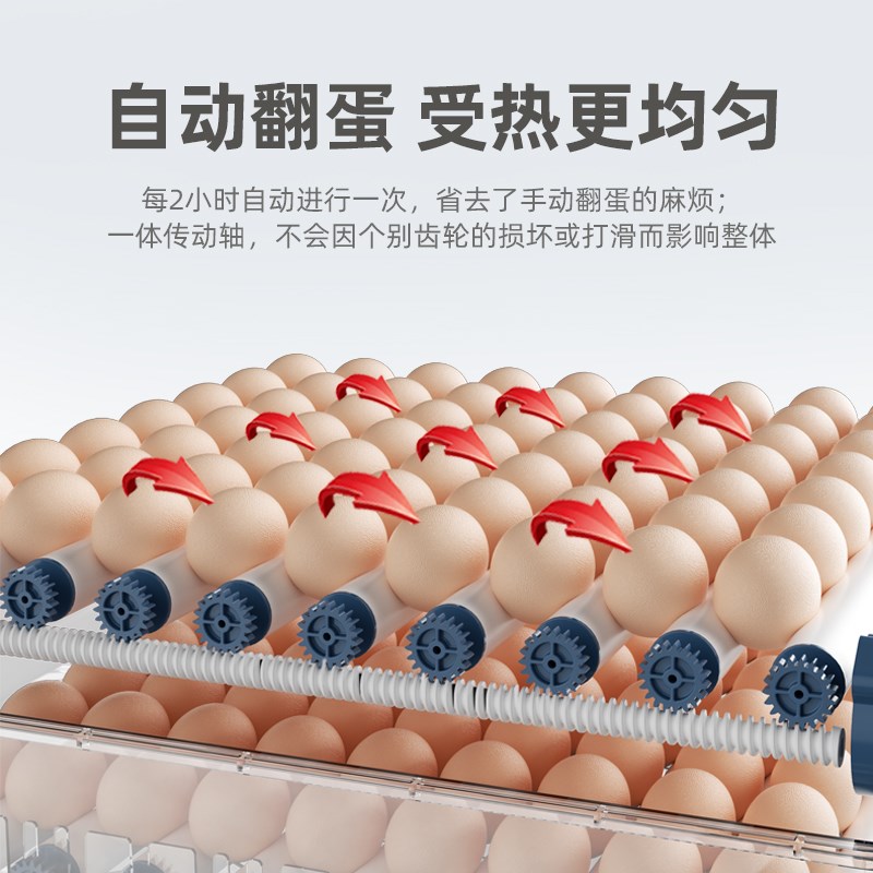 孵化机小型家用全自动芦丁鸡孵化箱智能鸡蛋水床孵化机小鸡孵化器