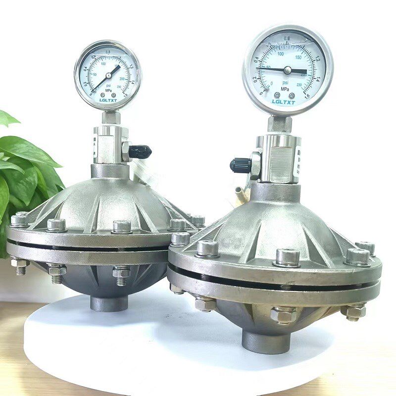 304不锈钢/PVDF膜片式脉冲阻尼器316脉动缓冲器DN15/20气囊阻尼器