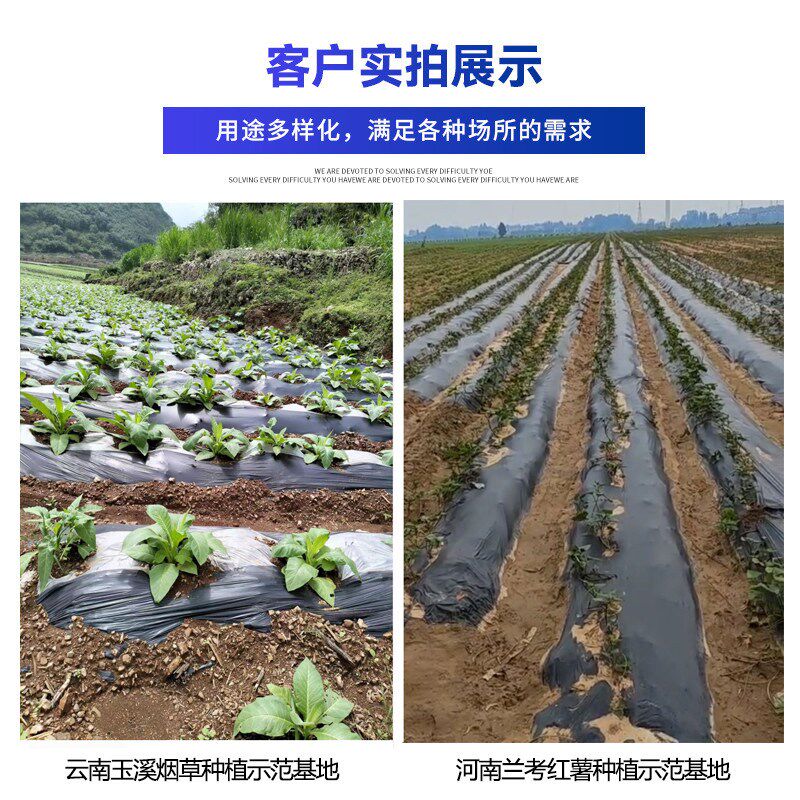 可降解环保膜农用种植黑地膜薄膜除草保温保湿种地可生物降解地膜