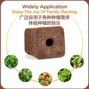 碳棉育苗块丹麦泥炭土块水培基质无土栽培多肉花卉营养土种植扦插