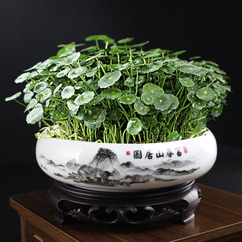 水仙花盆哥窑碗莲专用水培陶瓷大口径家用阳台一叶莲水养植物容器