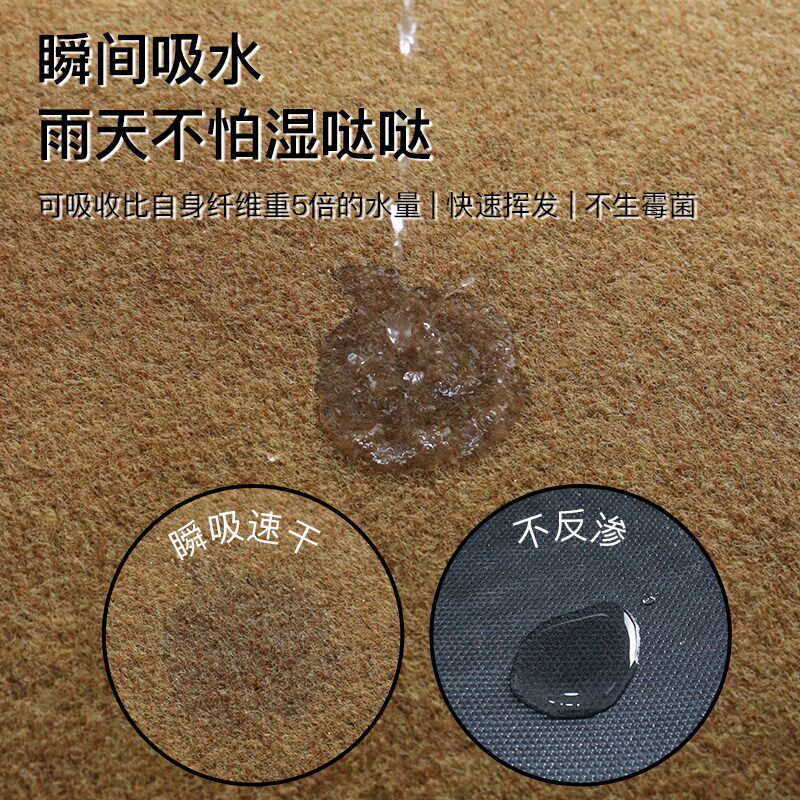 2025新款仿椰棕入户门地垫吸水防滑蹭土蹭灰耐用进门门外脚垫地毯