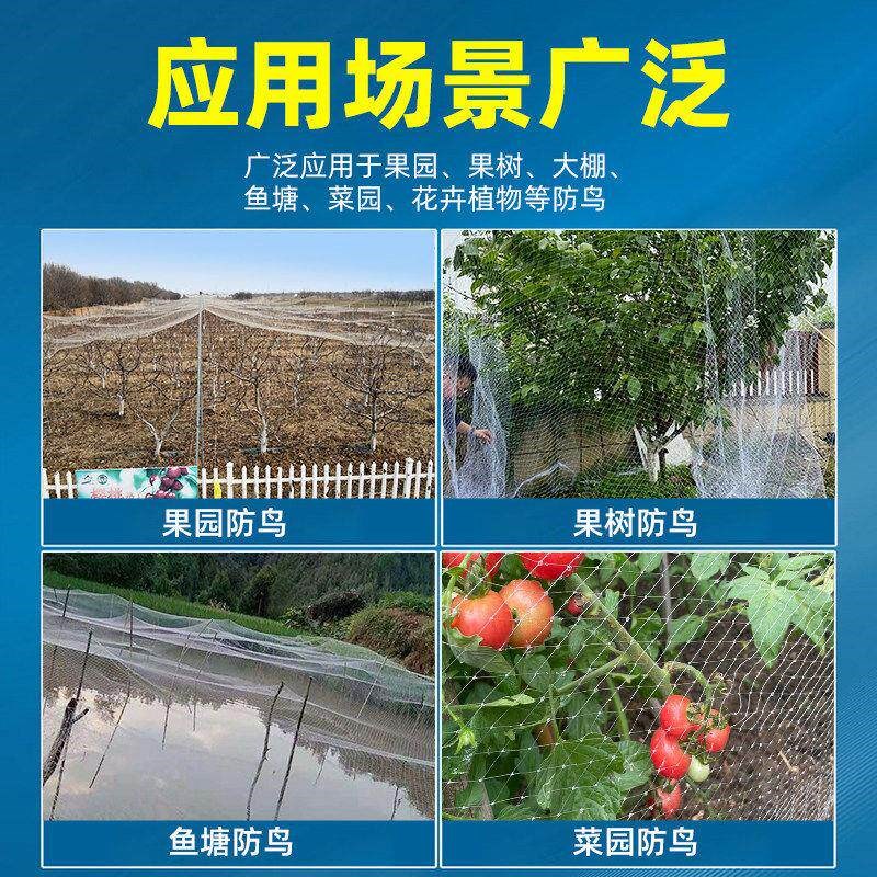 果园防鸟网果树大棚尼龙线防鸟网阳台樱桃树葡萄窗户鱼塘防鸟专用