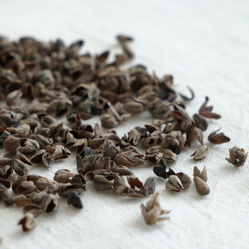 【宁神助眠】纯荞麦枕头全荞麦皮壳偏硬枕芯单人护颈椎助睡眠家用
