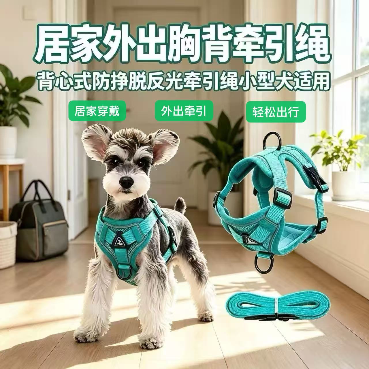 宠物反光胸背牵引绳套装背心式防挣脱遛狗绳外出猫狗通用牵引胸背