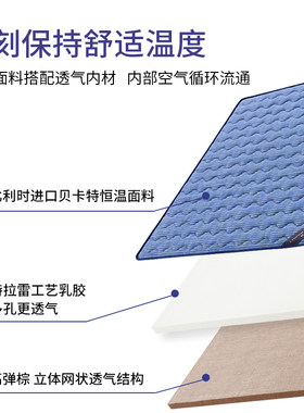 高弹棕山棕椰棕垫特拉雷乳胶床垫榻榻米折叠定制尺寸床垫子蓝湾