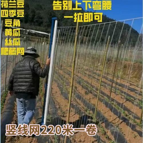 爬藤网豆角西红柿茄瓜植物爬藤网豌豆四季豆豇豆等豆类爬藤