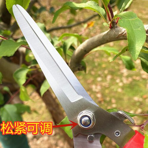 佐川田进口钢加长火龙果专用修枝剪枝条家用花草不锈钢平口剪刀
