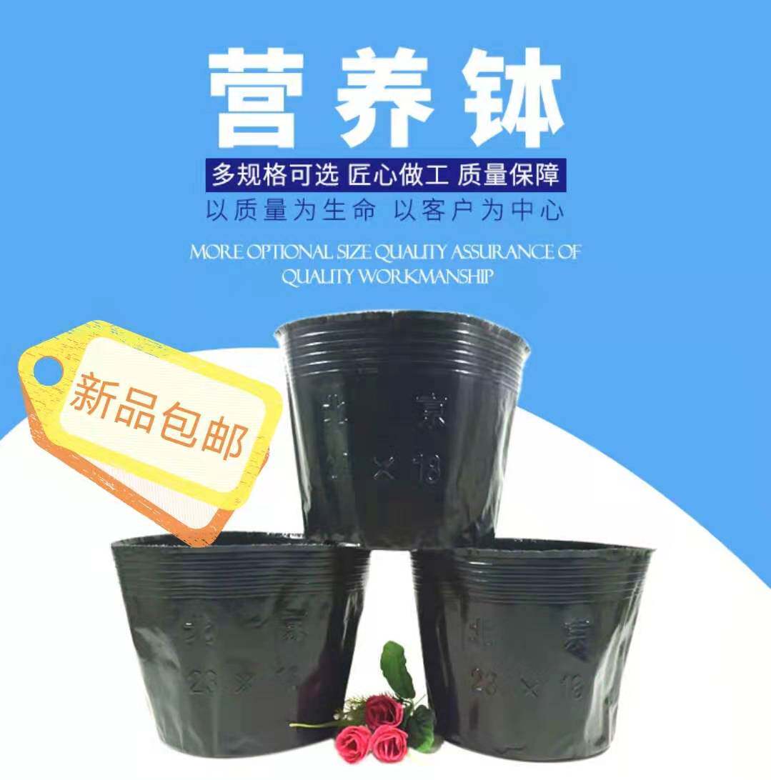 新品一次性黑色塑料营养钵大号耐用育苗杯花盆育苗袋器加厚可订制