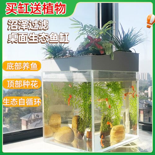 上部沼泽过滤桌面生态自循环办公桌书桌水培植物微景观造景小鱼缸