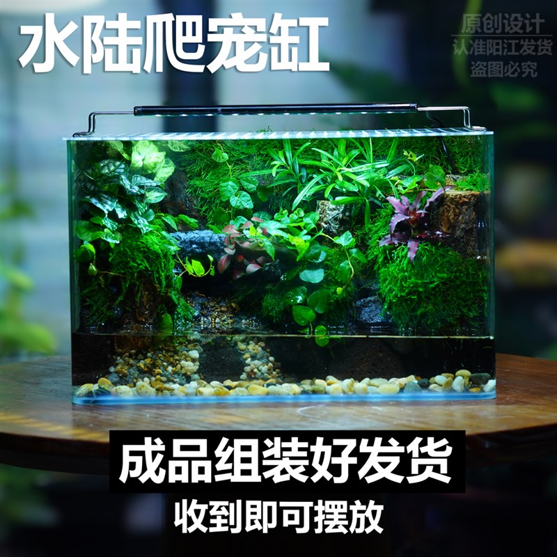 苔藓微景观雨林缸生态瓶桌面绿植创意水陆生态缸植物森林成品造景