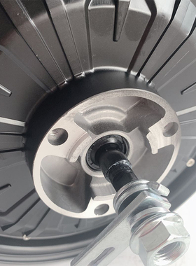 电动车电机14寸10寸48V60V500W800W1000W1200W国标电瓶车碟刹电机
