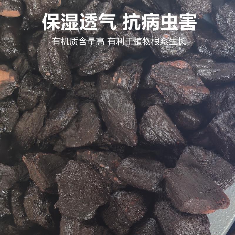 新西兰进口蝴蝶兰专用松树皮发酵腐熟松鳞覆盖物大块颗粒兰花植料