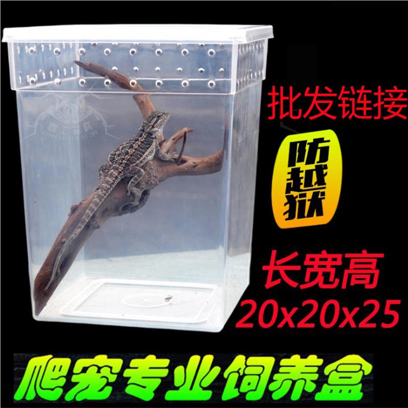 宠物饲养盒爬宠饲养箱蜘蛛蜈蚣蜈蚣角蛙饲养盒爬虫饲养盒爬虫盒