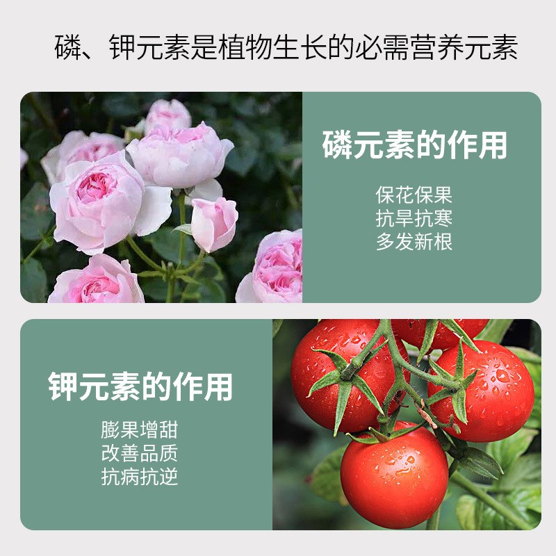 磷酸二氢钾肥料花卉专用正品农用养植物盆栽促花磷钾肥水溶叶面肥