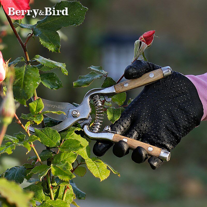 Berry&Bird复古园艺剪刀木柄粗枝花卉盆景修枝剪子省力修剪工具