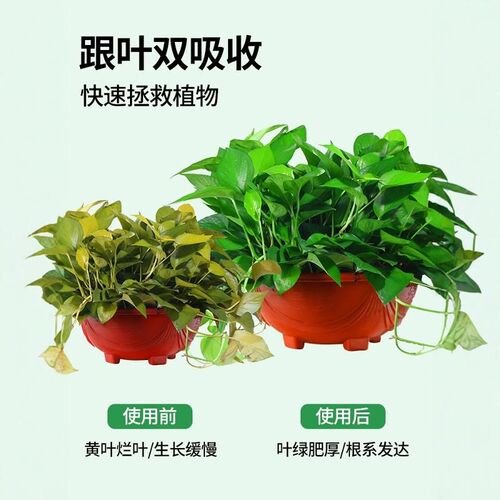绿萝营养液肥料专用肥植物营养液通用养绿箩花卉盆栽家用水培肥料