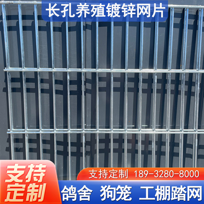 长孔镀锌铁丝网片狗笼鸽舍围栏踏网热镀锌养殖钢丝网加粗加密网格