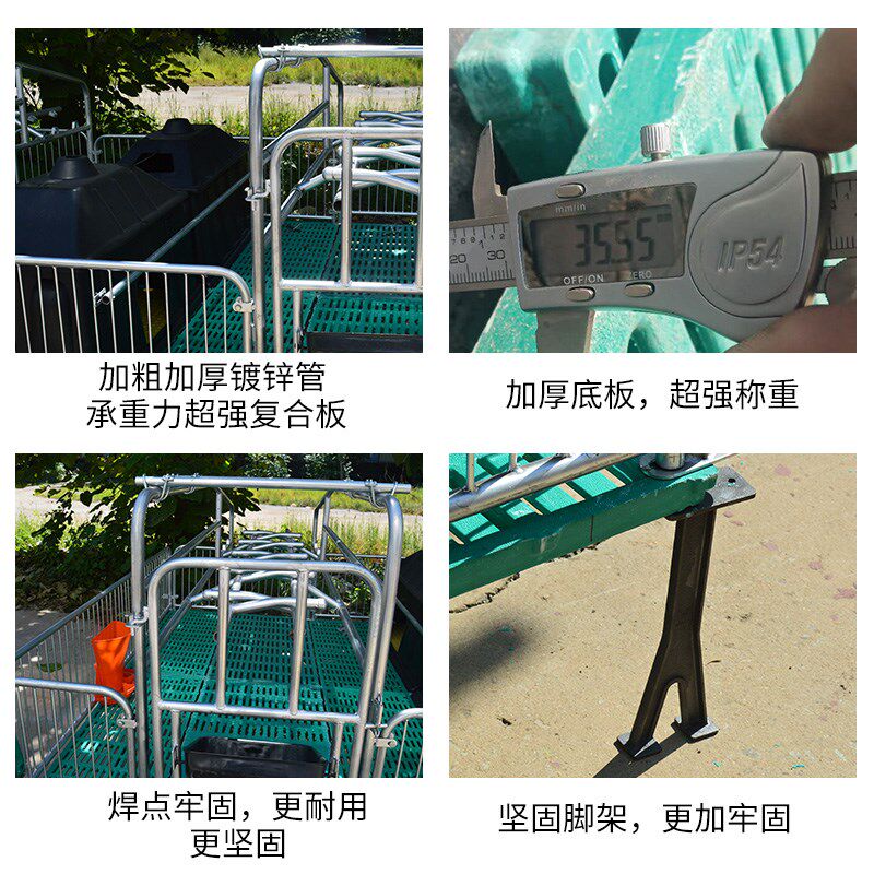 双体母猪产床仔猪保育床一体两用分娩产保床限位栏仔猪栏养殖设备