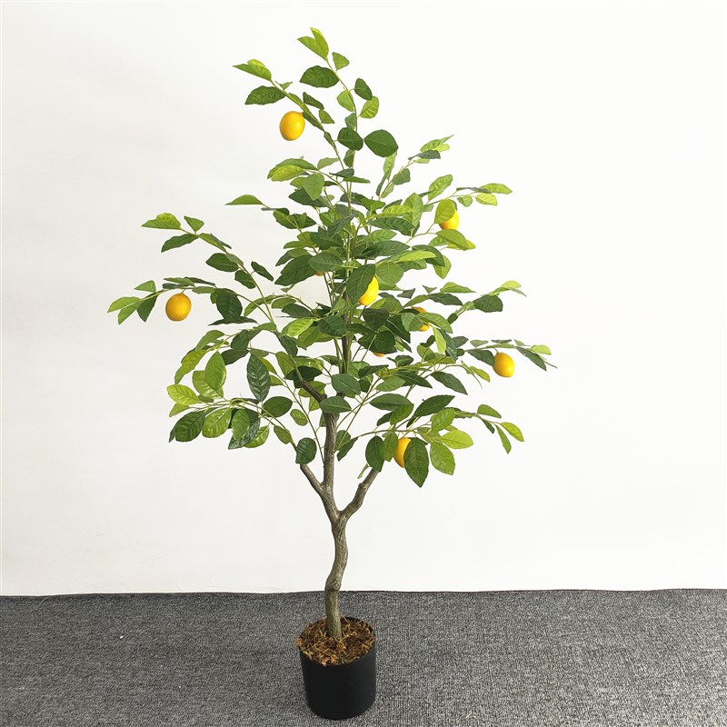 北欧风仿真绿植柠檬树盆栽摆件室内客厅装饰假植物盆景假树仿真树
