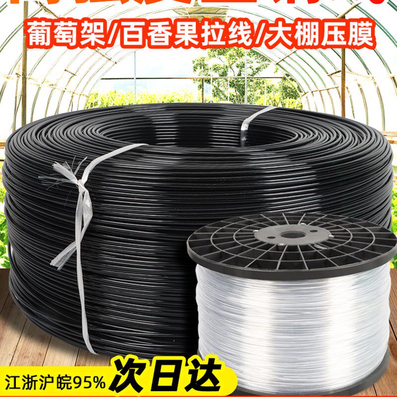 高强度塑钢线专用托膜线新型大棚线百香果葡萄火龙果搭架托幕绳子