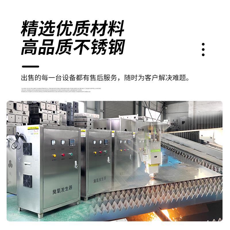 高浓度臭氧产生器空气源氧气源大克数工业级水处理杀菌掉色活氧机