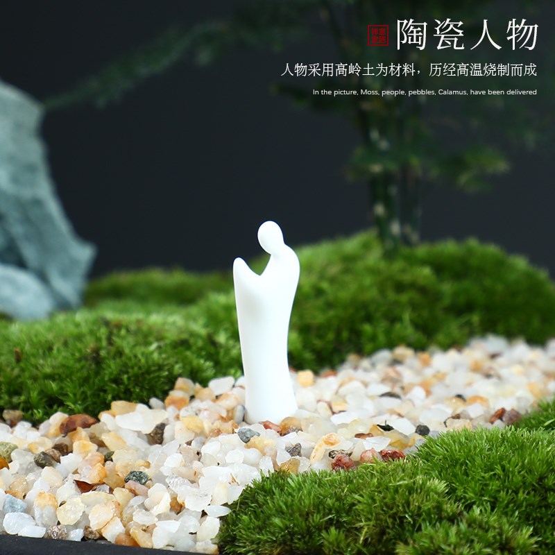 大号办公室造景苔藓文竹米鲜活竹植物盆栽茶道石头微景观盆景摆件