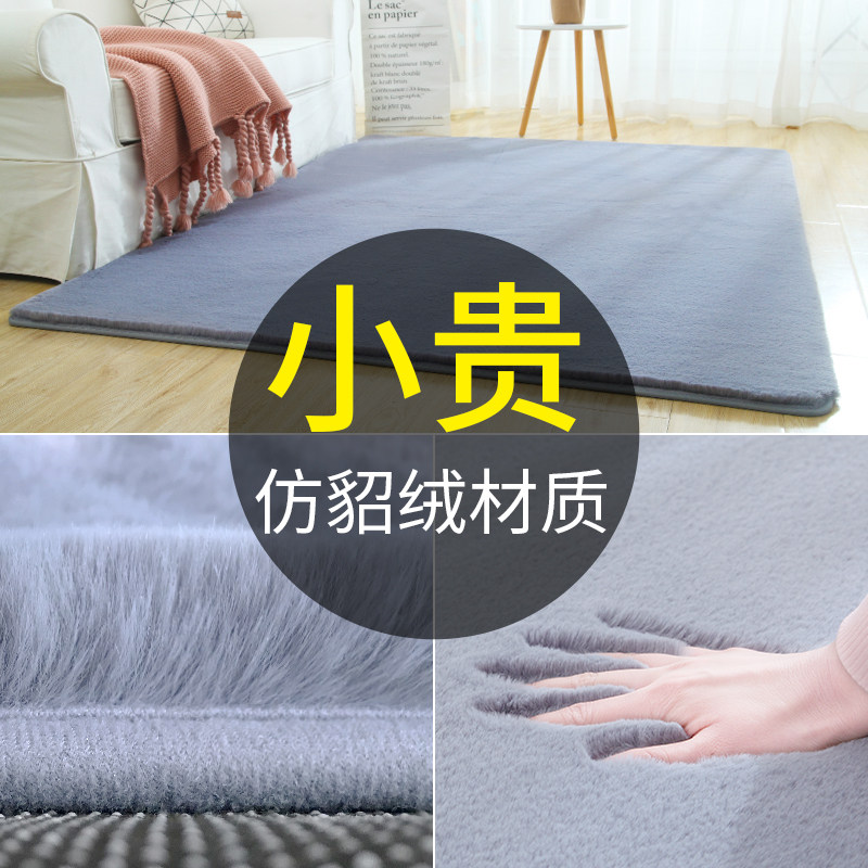 轻奢简约加厚卧室地毯客厅地垫房间长毛绒床边毯家用可睡可坐水洗