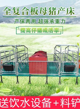 母猪限位栏加厚猪定位栏保育床落地式双体单体保育一体产床漏粪板