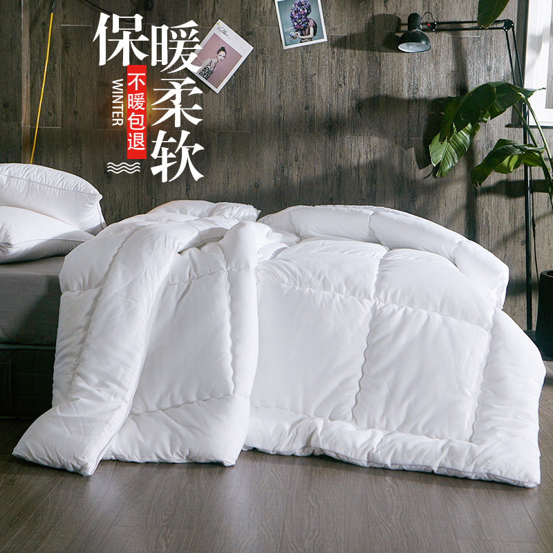 冬被加厚保暖羽丝绒被子12春秋冬被芯宿舍丝绵被双人8/10斤太空被