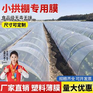 小棚塑料膜育秧育苗种菜白地膜加厚农用种植大棚保温布防霜专用膜