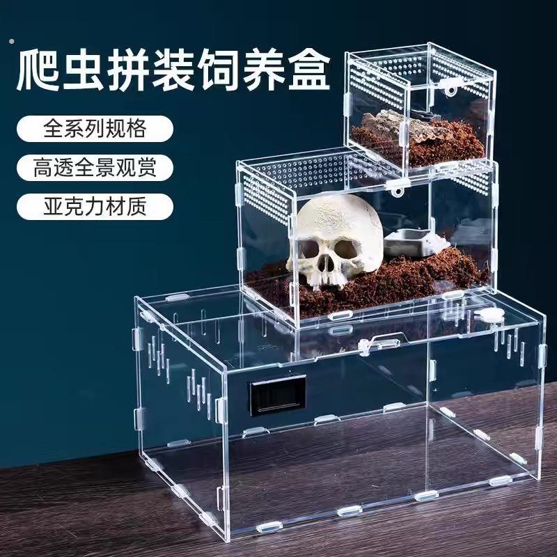 爬宠饲养箱压克力蜗牛守宫蛇蝎子蜥蜴昆虫观察饲养盒桌面观赏盒子